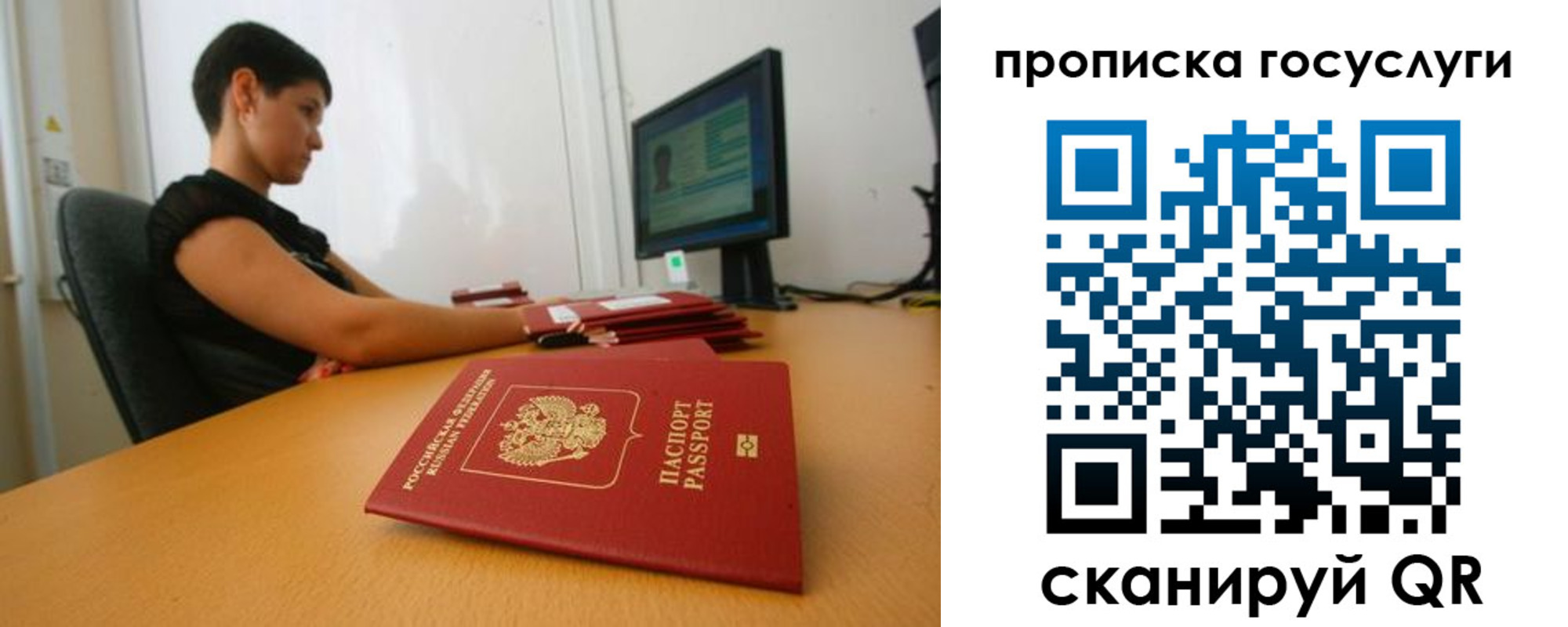 прописка гарантия в Полярных Зорях